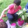 Чишћење дворишта