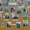 Дан еколога 2017