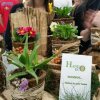 HANDECO - РЕГИОНАЛНО ТАКМИЧЕЊЕ УЧЕНИЧКИХ КОМПАНИЈА