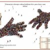 Дан толеранције 2022.