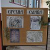 Савиндан 2025.