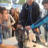 ИГРАЛИШТЕ ЗА ИНОВАЦИЈЕ