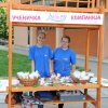 ,,МАГИЈА И(ли)ХЕМИЈА“