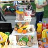 ,,МАГИЈА И(ли)ХЕМИЈА“