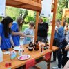 ,,МАГИЈА И(ли)ХЕМИЈА“